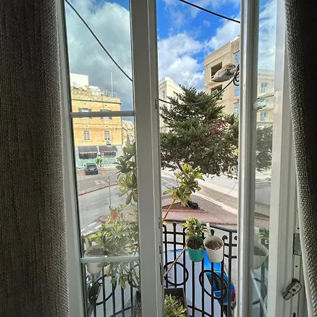 Cozy Or Sliema Race1